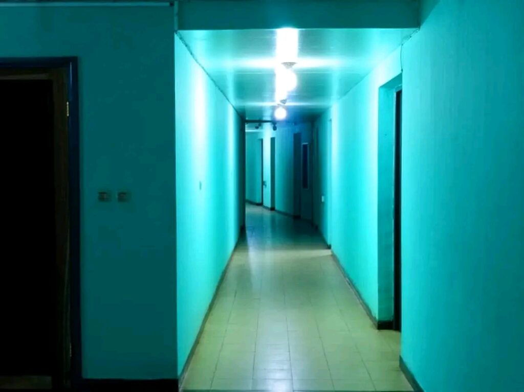 1739269194344